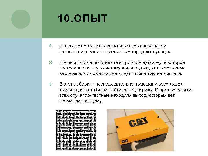 10. ОПЫТ Сперва всех кошек посадили в закрытые ящики и транспортировали по различным городским