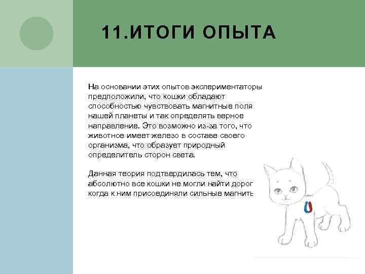 11. ИТОГИ ОПЫТА На основании этих опытов экспериментаторы предположили, что кошки обладают способностью чувствовать