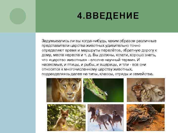4. ВВЕДЕНИЕ Задумывались ли вы когда-нибудь, каким образом различные представители царства животных удивительно точно