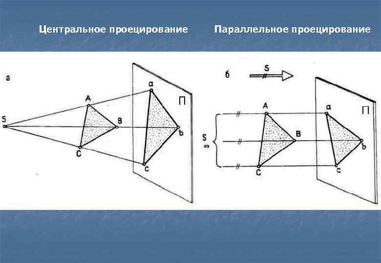 Как называются проекции полученные