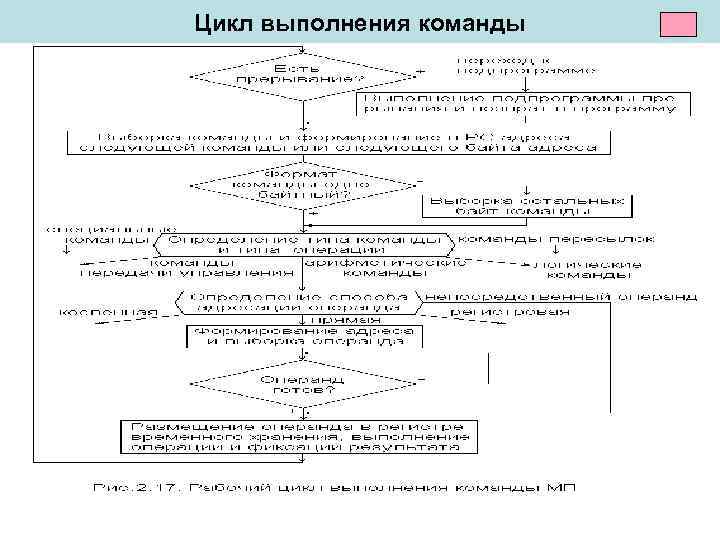 Выполняемый цикл