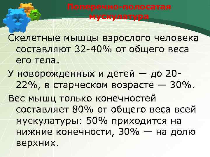 Поперечно-полосатая мускулатура Скелетные мышцы взрослого человека составляют 32 -40% от общего веса его тела.