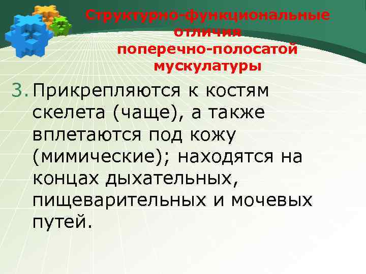 Структурно-функциональные отличия поперечно-полосатой мускулатуры 3. Прикрепляются к костям скелета (чаще), а также вплетаются под