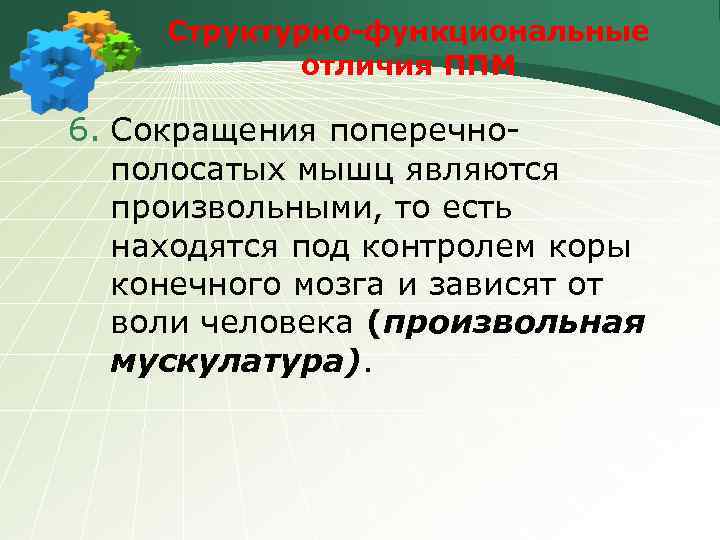 Структурно-функциональные отличия ППМ 6. Сокращения поперечнополосатых мышц являются произвольными, то есть находятся под контролем