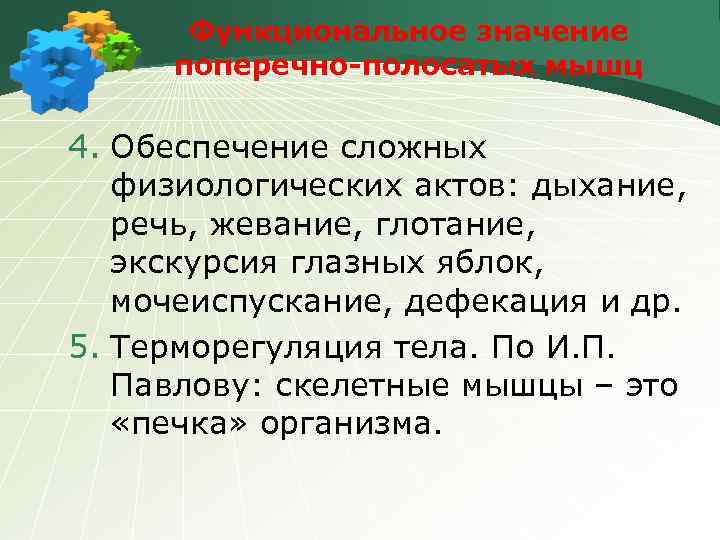 Функциональное значение поперечно-полосатых мышц 4. Обеспечение сложных физиологических актов: дыхание, речь, жевание, глотание, экскурсия
