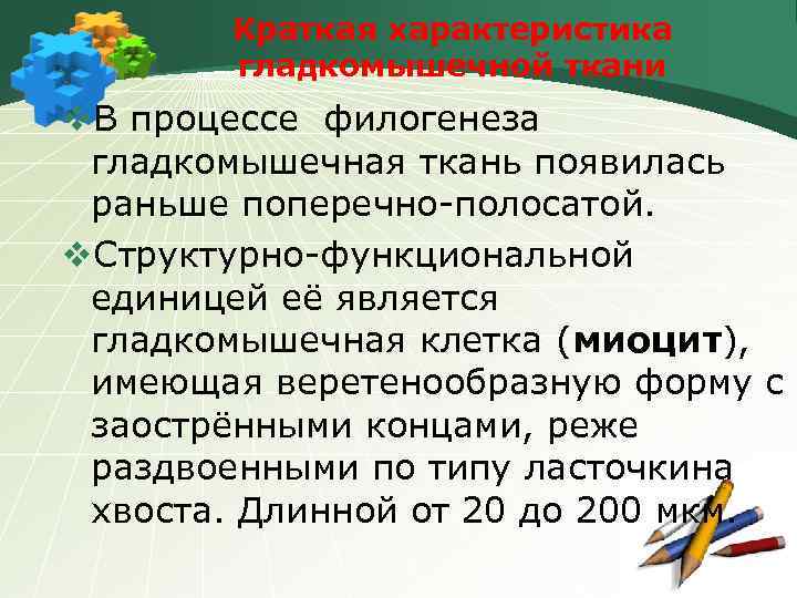 Краткая характеристика гладкомышечной ткани v. В процессе филогенеза гладкомышечная ткань появилась раньше поперечно-полосатой. v.
