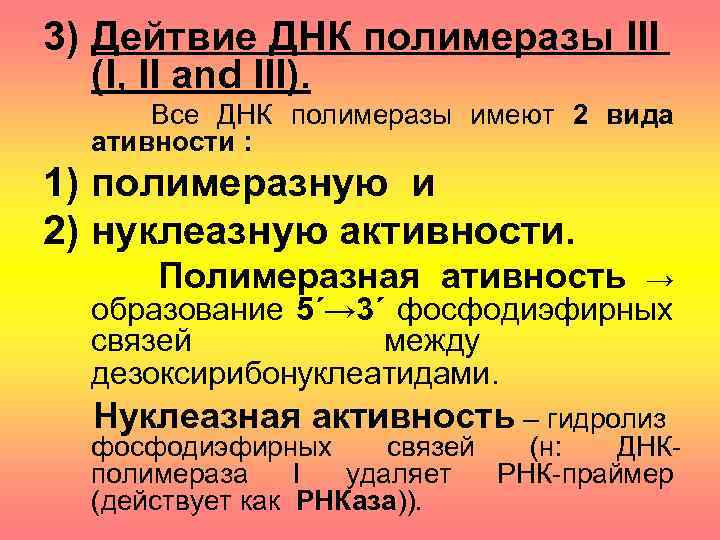 3) Дейтвие ДНК полимеразы III (I, II and III). Все ДНК полимеразы имеют 2