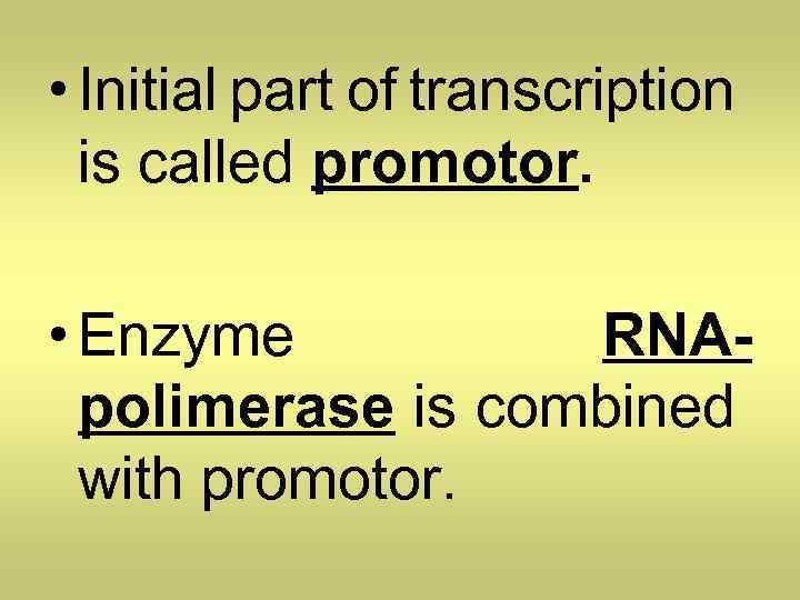  • Initial part of transcription is called promotor. • Enzyme RNApolimerase is combined