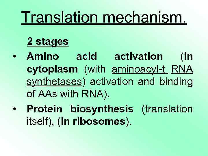 Translation mechanism. 2 stages • Amino acid activation (in cytoplasm (with aminoacyl-t RNA synthetases)