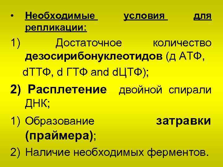  • Необходимые репликации: 1) Достаточное количество дезосирибонуклеотидов (д ATФ, d. TTФ, d ГTФ
