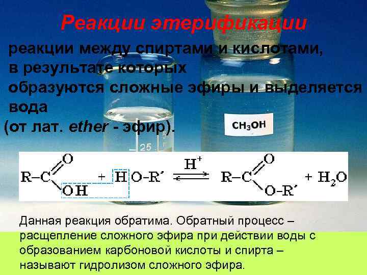 Реакции этерификации реакции между спиртами и кислотами, в результате которых образуются сложные эфиры и