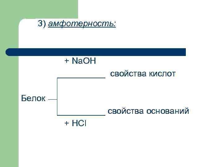 3) амфотерность: + Na. OH _____ cвойства кислот Белок _____ свойства оснований + HCl