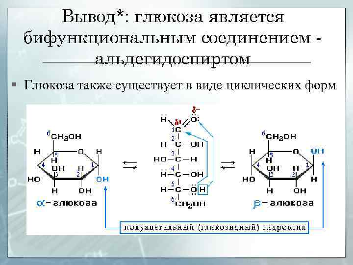 Вывод*: глюкоза является бифункциональным соединением альдегидоспиртом § Глюкоза также существует в виде циклических форм