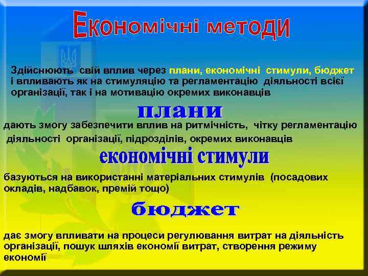 Здійснюють свій вплив через плани, економічні стимули, бюджет і впливають як на стимуляцію та