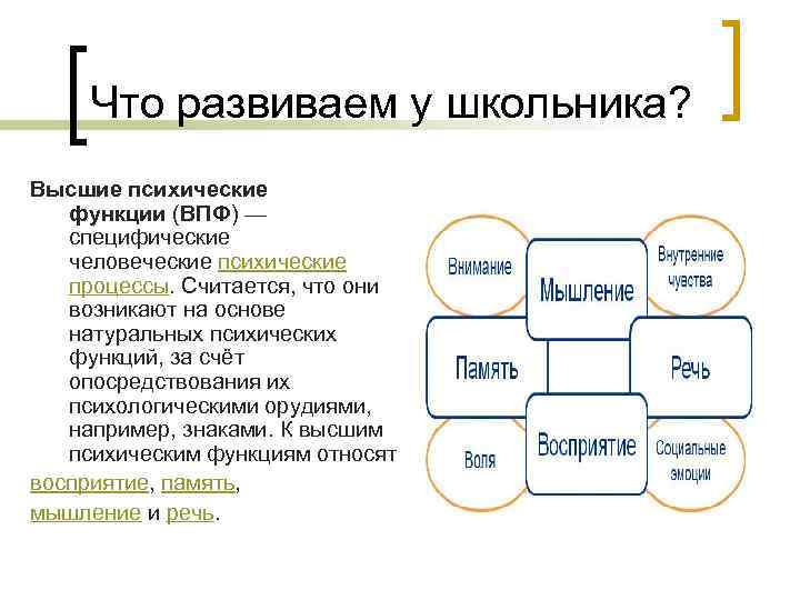 Что развиваем у школьника? Высшие психические функции (ВПФ) — специфические человеческие психические процессы. Считается,