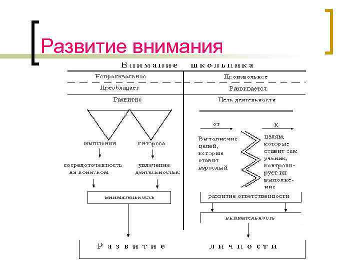 Развитие внимания 