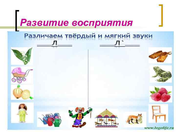 Развитие восприятия 