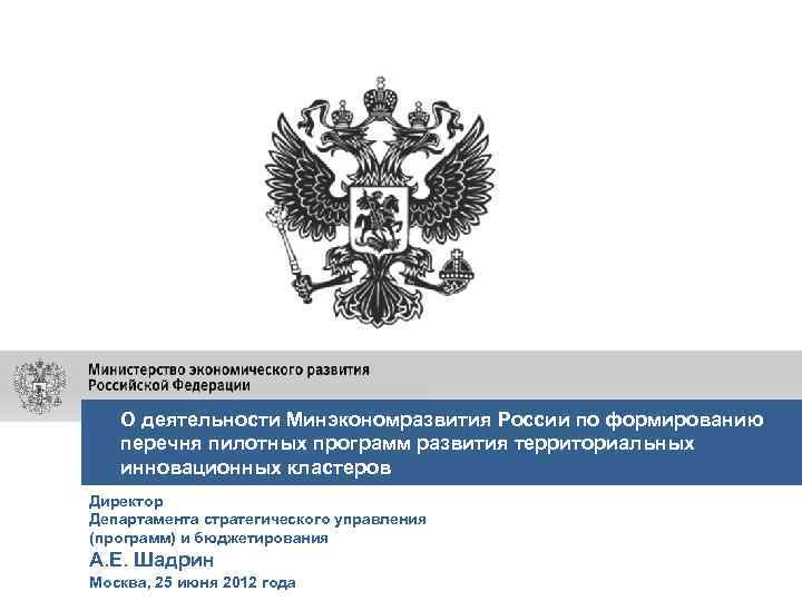 О деятельности Минэкономразвития России по формированию перечня пилотных программ развития территориальных инновационных кластеров Директор