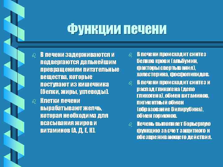 Функции печени b b В печени задерживаются и подвергаются дальнейшим превращениям питательные вещества, которые