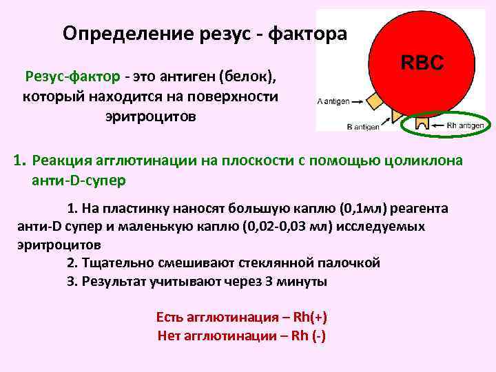 Определение резус - фактора Резус-фактор - это антиген (белок), который находится на поверхности эритроцитов