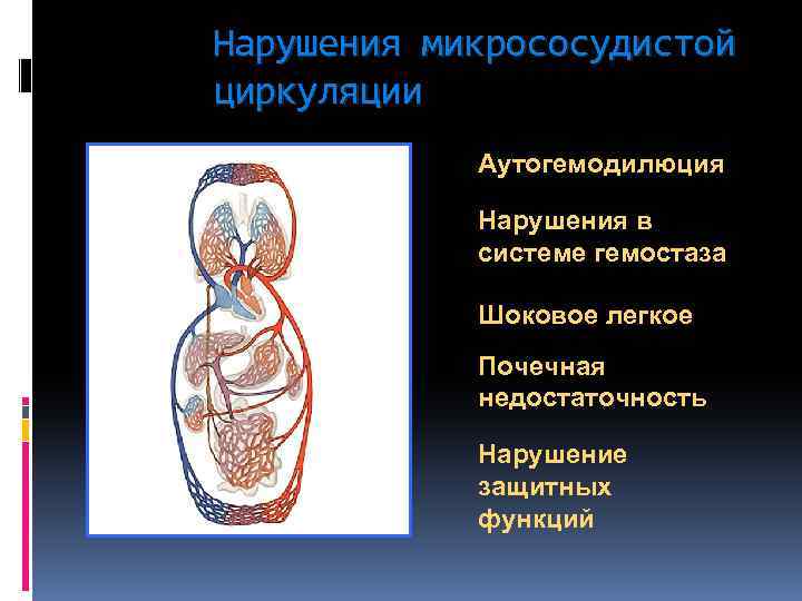 Нарушения микрососудистой циркуляции Аутогемодилюция Нарушения в системе гемостаза Шоковое легкое Почечная недостаточность Нарушение защитных