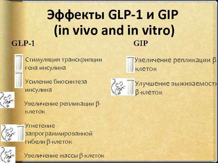 Эффекты GLP-1 и GIP (in vivo and in vitro) GLP-1 Стимуляция транскрипции гена инсулина