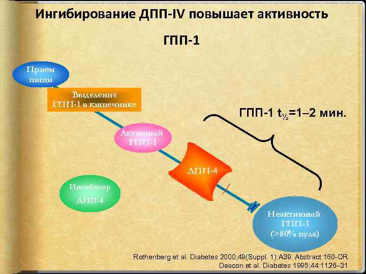 Ингибирование ДПП-IV повышает активность ГПП-1 Прием пищи Выделение ГПП-1 в кишечнике ГПП-1 t½=1– 2