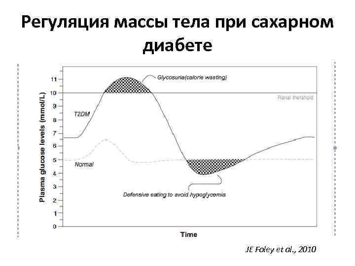 Регуляция массы тела при сахарном диабете JE Foley et al. , 2010 