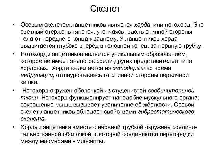 Скелет • Осевым скелетом ланцетников является хорда, или нотохорд. Это светлый стержень тянется, утончаясь,