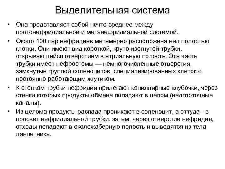 Выделительная система • Она представляет собой нечто среднее между протонефридиальной и метанефридиальной системой. •