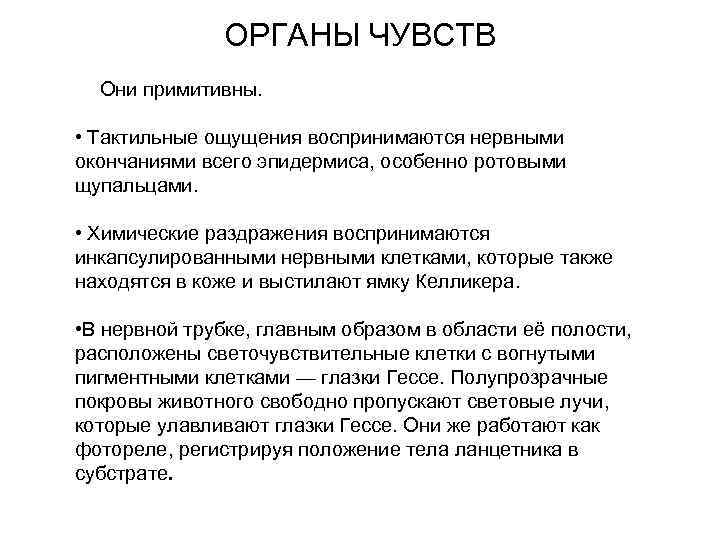 ОРГАНЫ ЧУВСТВ Они примитивны. • Тактильные ощущения воспринимаются нервными окончаниями всего эпидермиса, особенно ротовыми