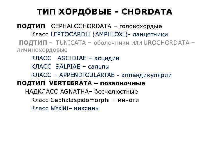 ТИП ХОРДОВЫЕ - CHORDATA ПОДТИП СЕPHALOCHORDATA – головохордые Класс LEPTOCARDII (AMPHIOXI)- ланцетники ПОДТИП -