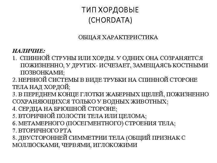 ТИП ХОРДОВЫЕ (CHORDATA) ОБЩАЯ ХАРАКТЕРИСТИКА НАЛИЧИЕ: 1. СПИННОЙ СТРУНЫ ИЛИ ХОРДЫ. У ОДНИХ ОНА