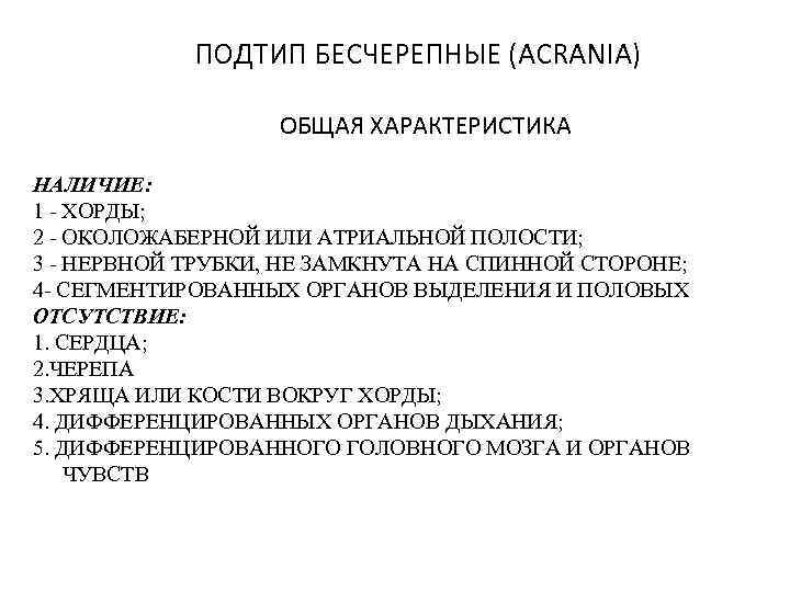 ПОДТИП БЕСЧЕРЕПНЫЕ (ACRANIA) ОБЩАЯ ХАРАКТЕРИСТИКА НАЛИЧИЕ: 1 - ХОРДЫ; 2 - ОКОЛОЖАБЕРНОЙ ИЛИ АТРИАЛЬНОЙ