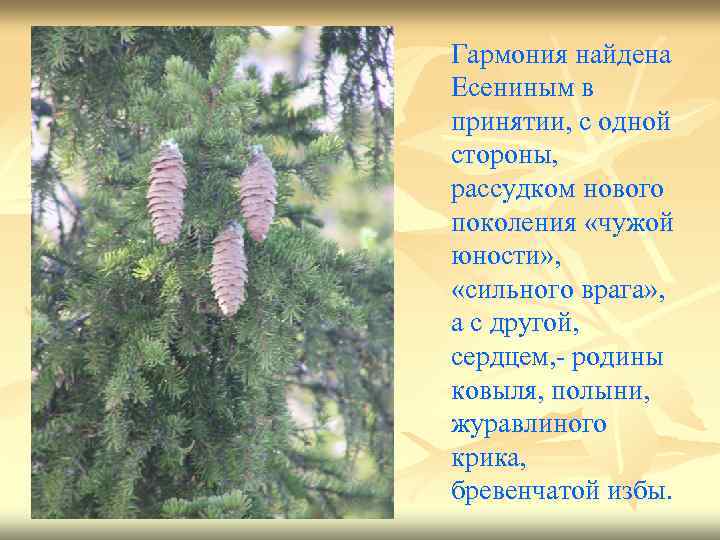 Гармония найдена Есениным в принятии, с одной стороны, рассудком нового поколения «чужой юности» ,
