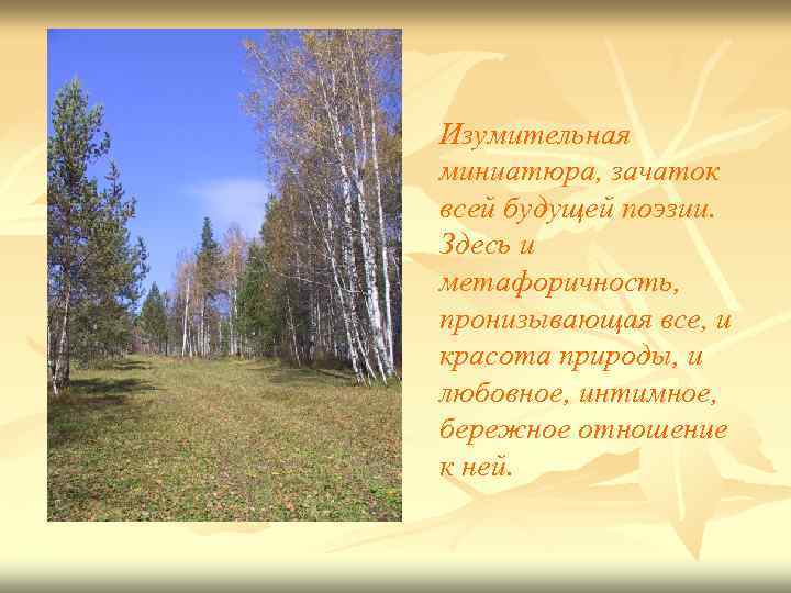 Изумительная миниатюра, зачаток всей будущей поэзии. Здесь и метафоричность, пронизывающая все, и красота природы,