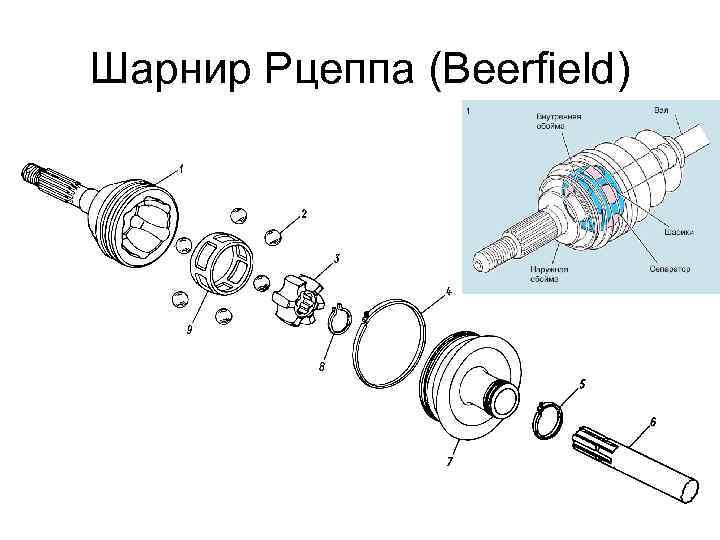 Шарнир Рцеппа (Beerfield) 