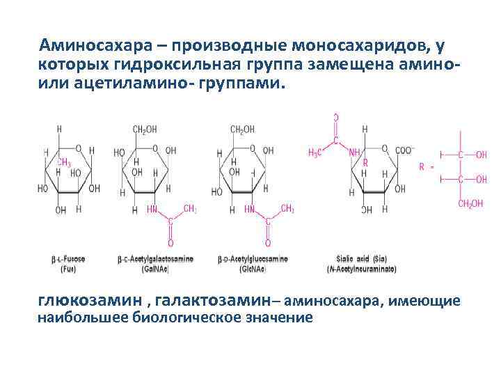 Аминосахара – производные моносахаридов, у которых гидроксильная группа замещена аминоили ацетиламино- группами. глюкозамин ,