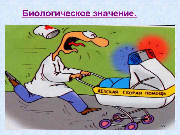 Биологическое значение. 53 