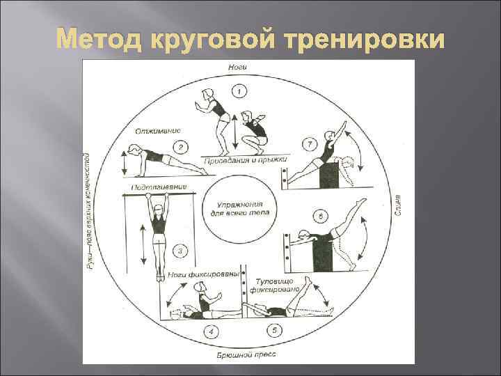 План конспект круговой тренировки по офп