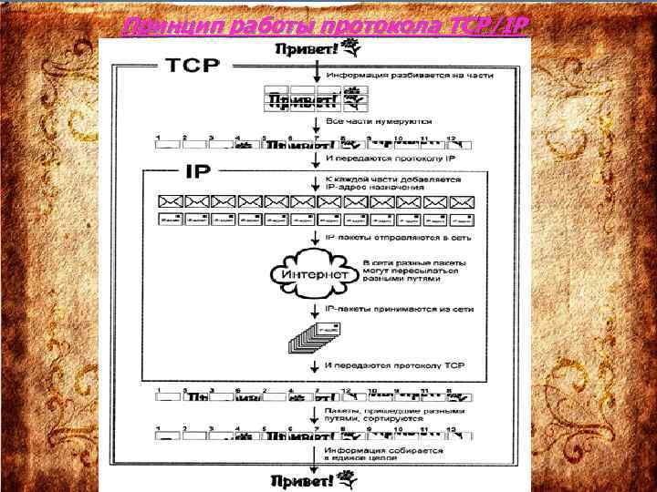 Принцип работы протокола TCP/IP 