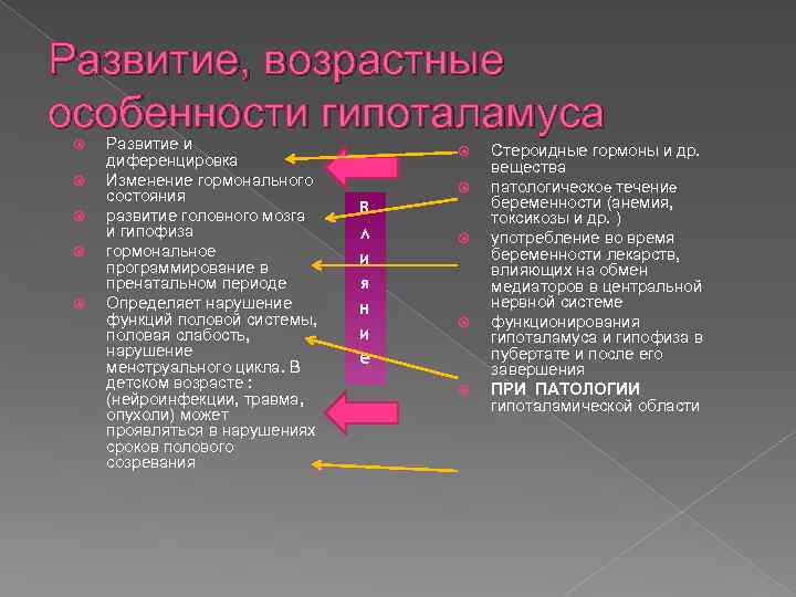Развитие, возрастные особенности гипоталамуса Развитие и диференцировка Изменение гормонального состояния развитие головного мозга и