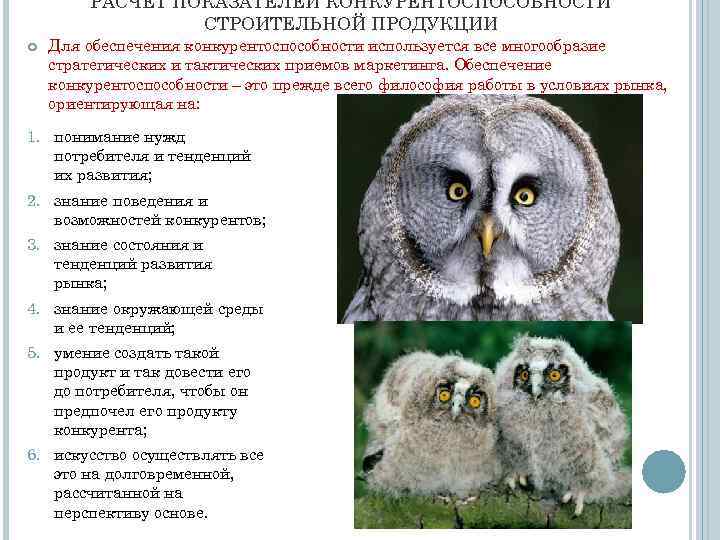 РАСЧЕТ ПОКАЗАТЕЛЕЙ КОНКУРЕНТОСПОСОБНОСТИ СТРОИТЕЛЬНОЙ ПРОДУКЦИИ Для обеспечения конкурентоспособности используется все многообразие стратегических и тактических