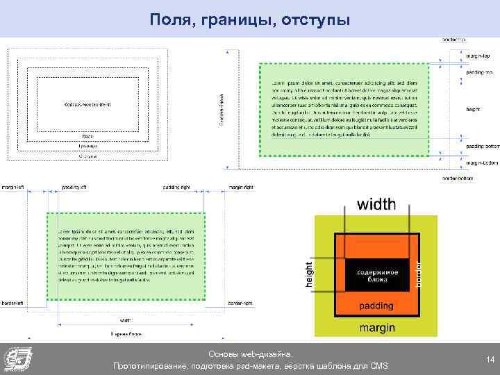 Поля, границы, отступы Основы web-дизайна. Прототипирование, подготовка psd-макета, вёрстка шаблона для CMS 14 