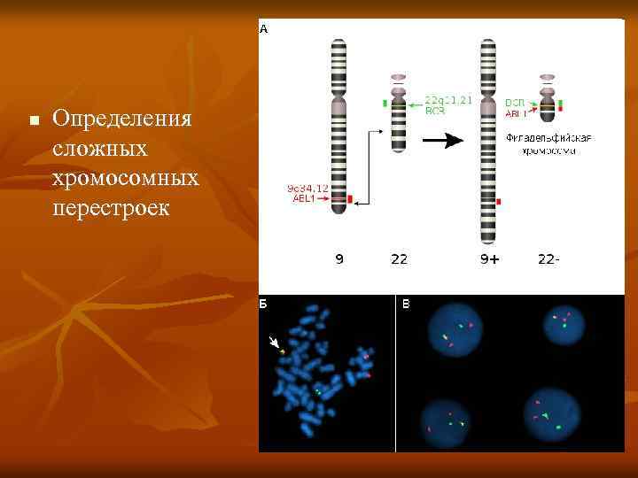  Определения сложных хромосомных перестроек 