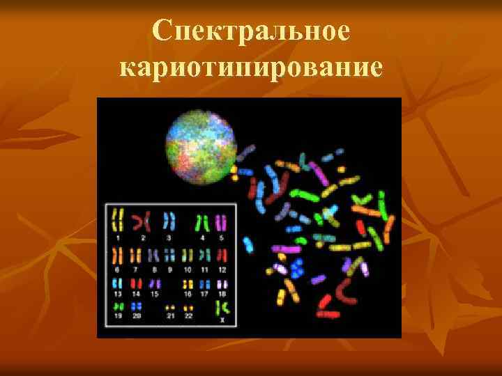 Генетическое исследование хромосом. Спектральное кариотипирование. Спектральное кариотипирование метод. Кариотипирование. Основные этапы.. Иллюстрация методов кариотипирование.