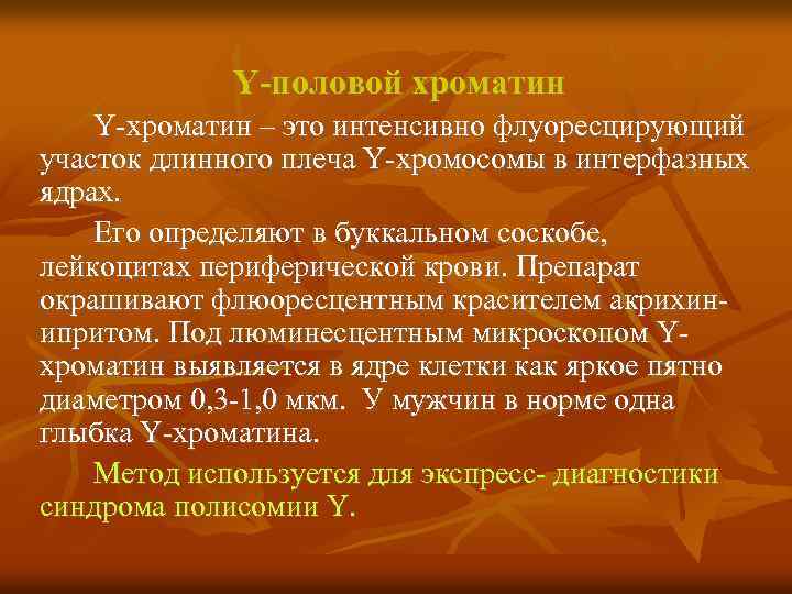 Y-половой хроматин Y хроматин – это интенсивно флуоресцирующий участок длинного плеча Y хромосомы в