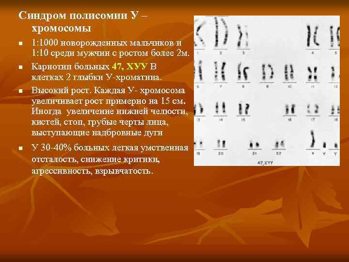 Полисомия по y хромосоме презентация