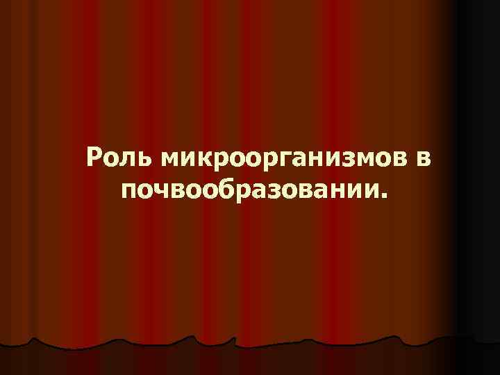 Роль микроорганизмов в почвообразовании. 
