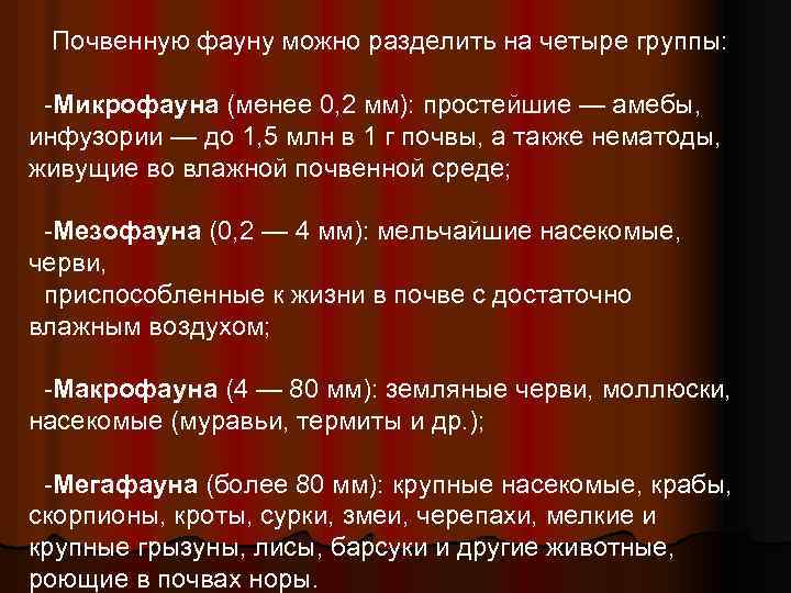 Почвенную фауну можно разделить на четыре группы: -Микрофауна (менее 0, 2 мм): простейшие —